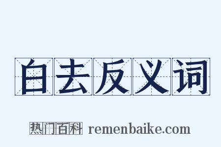 白去反义词是什么意思的图片